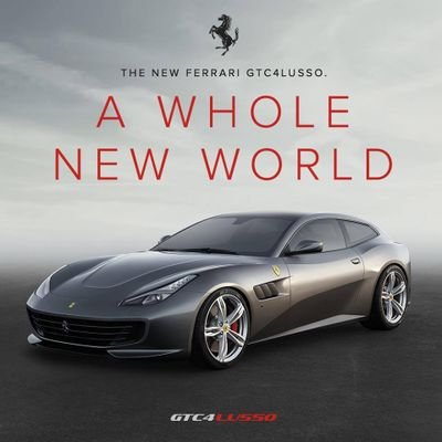 Necheerkemkey's profile picture. هيوستن تكساس