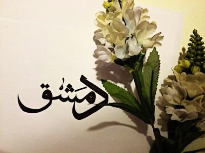 rosedandoon's profile picture. Syrian♡
Pharmacist