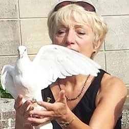 Lambert's White Dove Release, Brighton, for all special occasions in Sussex. #weddings #funerals #memorials #anniversaries #birthdays #sussex #releasing #love