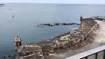 Zaida2006's profile picture. 