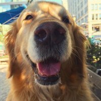 Ty Anania (@ananiaty) 's Twitter Profile