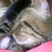 pan127's profile image