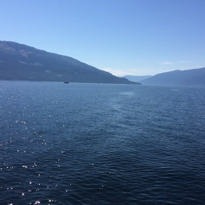 bigbadwolf2020's profile picture. 18+  😎