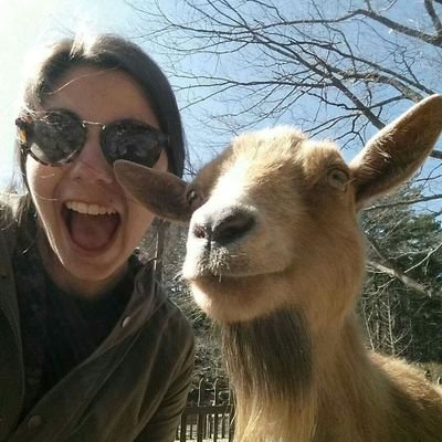 mlinstone's profile picture. I need an adult.