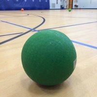 Big Hollow Elem PE (@bhelempe) Twitter profile photo