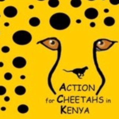 Visit Action for Cheetahs in Kenya Profile