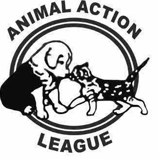 animal action league in joshua tree