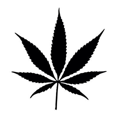 Cultivo De Cannabis