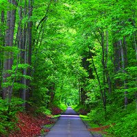 The W&OD Trail (@wodtrail) 's Twitter Profile Photo The W&OD Trail (@wodtrail) 's Twitter Profile Photo