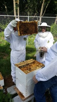 Follow the adventures of the honeybee hives  and aquaponics system at the Frederick Career and Technology Center.