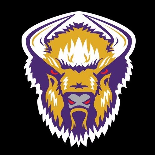 The official Twitter of the Lipscomb University Club Hockey Team Est. 2016