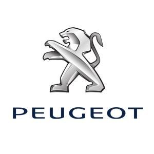 Fans Club @Peugeot