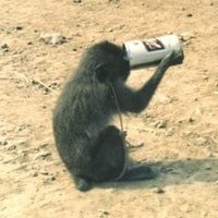 LatJerde5897316 (@jerde5897316) 's Twitter Profile
