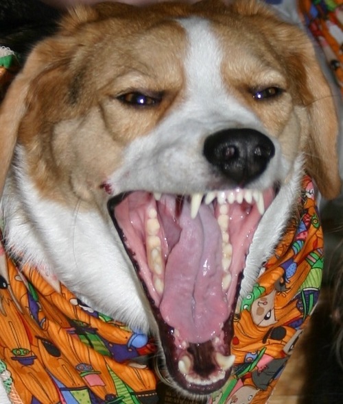 ComplainHere Profile Picture