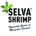 Selva Shrimp (@selva_shrimp) Twitter profile photo Selva Shrimp (@selva_shrimp) Twitter profile photo