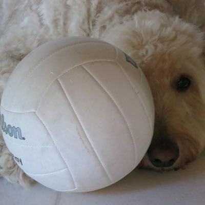 KarenJhartman's profile picture. 