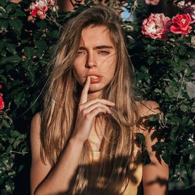 ehialltimelow's profile picture. @httpsoctavia