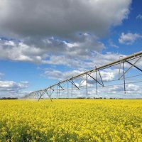 Southern Growers (@sg_nsw) 's Twitter Profile