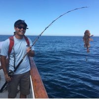 George Chiang (@drgeorgechiang) 's Twitter Profile