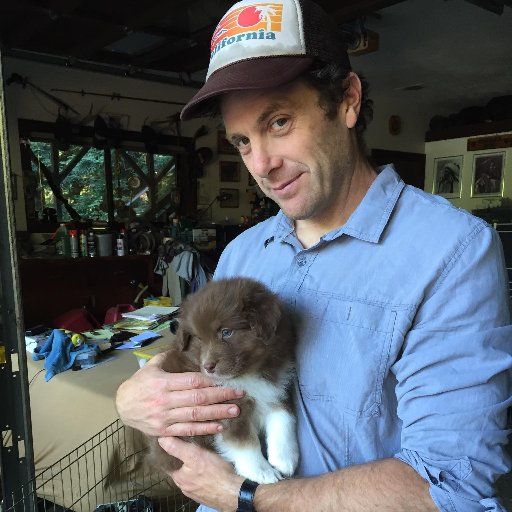 paulgburke's profile picture.