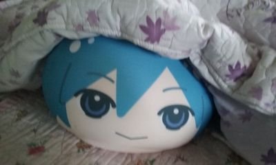 遙ちゃんさんのプロフィール画像