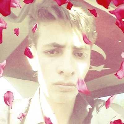 OrhanDavut5's profile picture. 