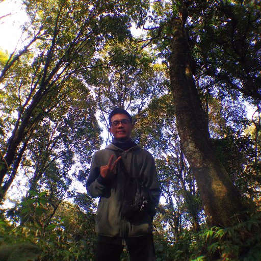 k_wijaya22's profile picture. 