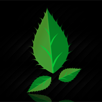 club_ephemere's profile picture. Compte twitter officiel du club de photographie Ephemere.