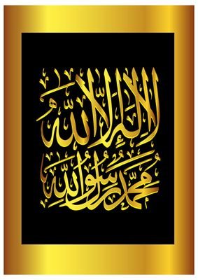 habibu742's profile picture. 