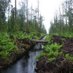 Hutan Indonesia (@hutan_indonesia) Twitter profile photo Hutan Indonesia (@hutan_indonesia) Twitter profile photo