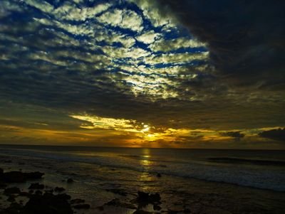 Hassana66959197's profile picture. 