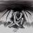 corvusica's profile image