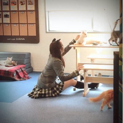 植田碧麗 Twitter