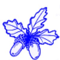 Bryn Deri Year 6 (@bdps_23) 's Twitter Profile