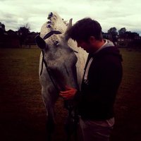 Daves Fan Page (@robbieprance1) 's Twitter Profile