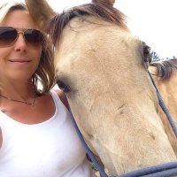 Tammy Gragg - @Lemonhorse Twitter Profile Photo