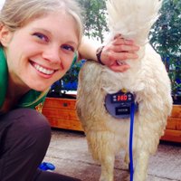 Pip J Jones (@pip_multiland) 's Twitter Profile