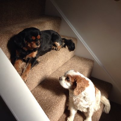 tracyjwright1's profile picture. Books