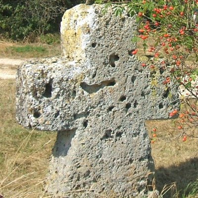 sevenjelo's profile picture. Denn so sehr hat Gott die Welt geliebt, dass er seinen eingeborenen Sohn gab, damit jeder, der an ihn glaubt, nicht verloren gehe, sondern ewiges Leben habe.