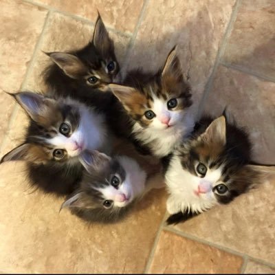 doxy_gotsis's profile picture. 