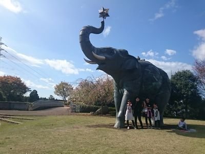 三姉妹のママです!(^^)!
毎日と～ってもワイワイガヤガヤですが楽しく過ごしてます♪子供に関するいろんな情報をツイートします。いろんな方と仲良くなりたいです！！