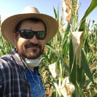Ricardo Mir (@rocamadour1981) 's Twitter Profile Photo Ricardo Mir (@rocamadour1981) 's Twitter Profile Photo