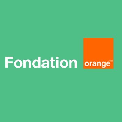 FondationOrange_Cmr Profile