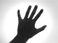 miki_tnt's profile picture. 