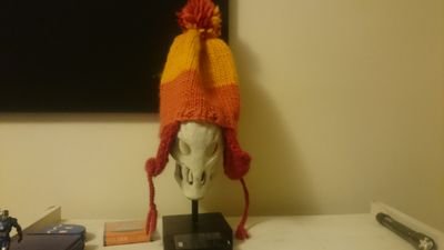 SectionThirteen's profile picture. A product of too much television.