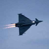 Brian_D (@brian_d2016) 's Twitter Profile