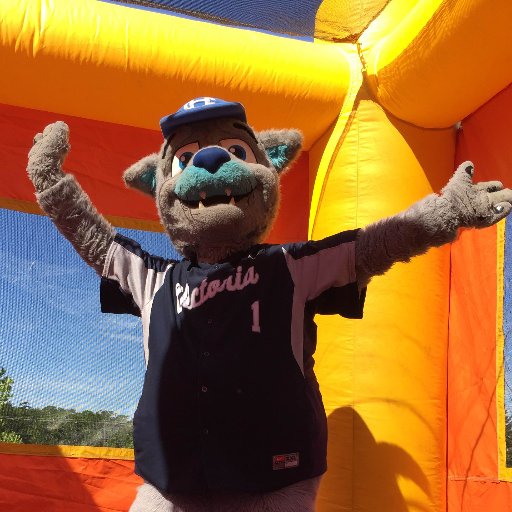 @Harbourcats mascot, get ready for season 4! Here to Stay, Here to Play!
Have an event, email me at community@harbourcats.com