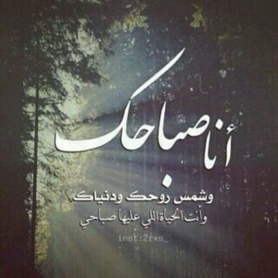 ‏‏‏‏‏‏‏ ‏‎‎#النوم يَهْرُب وقتَ حاجَتِنا الماسَّةِ لَه،،