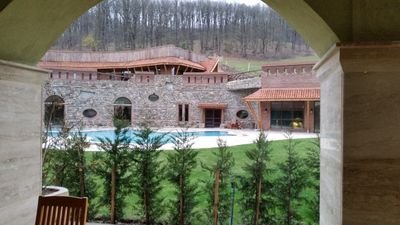 TolgaTolgamd's profile picture. 