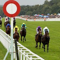 The Racing Value (@theracingvalue) 's Twitter Profile